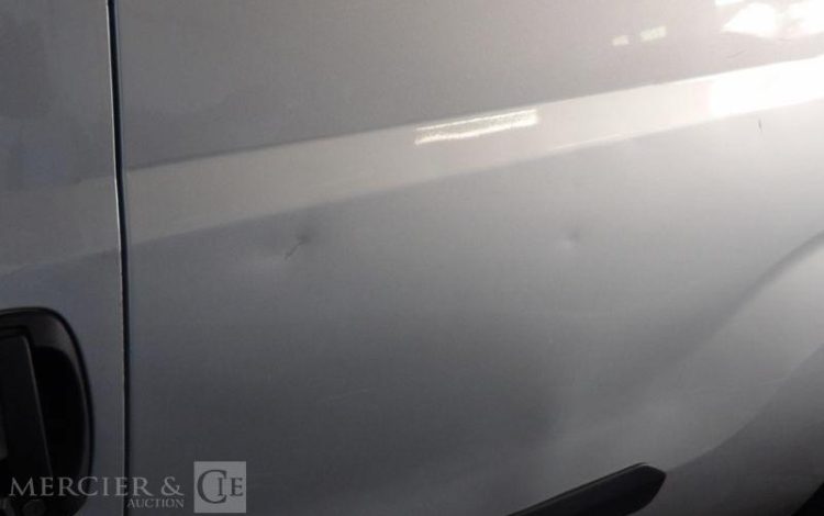 FIAT DOBLO MAXI 105 MULTIJET 2 GRIS EN-208-WJ