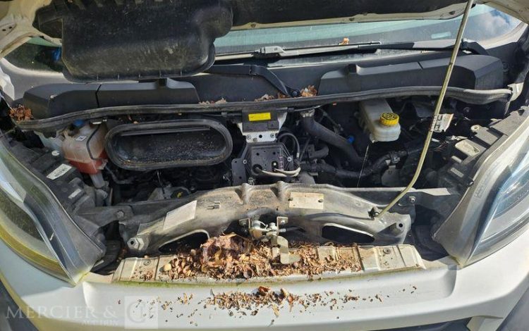 FIAT DUCATO III FOURGON 2,3 MTJ 130CV  – VENDU EN DESIGNATION BLANC ES-174-ZT