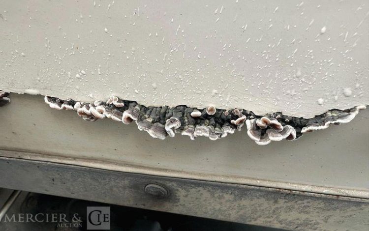 IVECO EUROCARGO ML 160-210 – EN DESIGNATION (77) – 257133KMS – ANNEE 2018  EV-655-GK