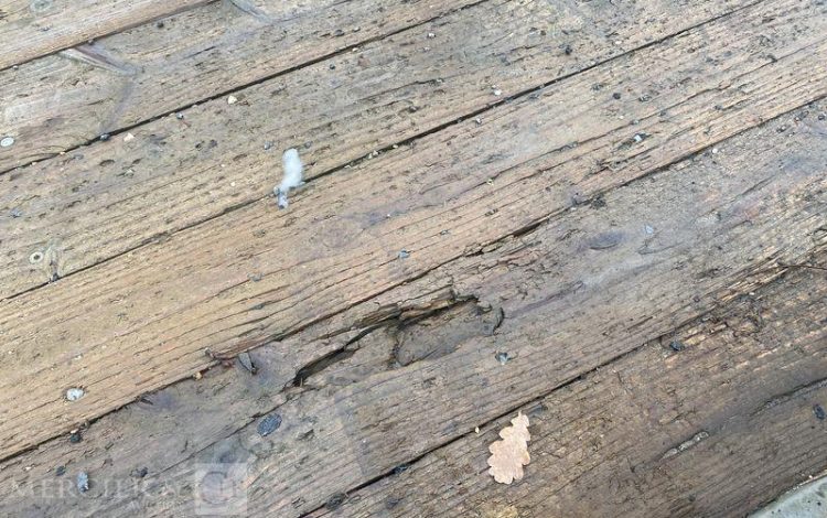 ECIM REMORQUE PORTE ENGIN 3T5  FQ-210-AY