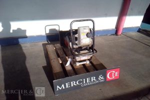 PILONNEUSE 72KG PN3 ESSENCE  PIL748513