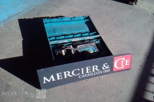 GENERIQUE PIQUEUR ELECTRIQUE 230V 19J VERT PIQ750011