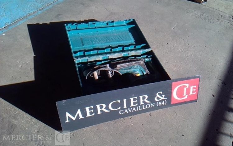 GENERIQUE PIQUEUR ELECTRIQUE 230V 19J VERT PIQ750011