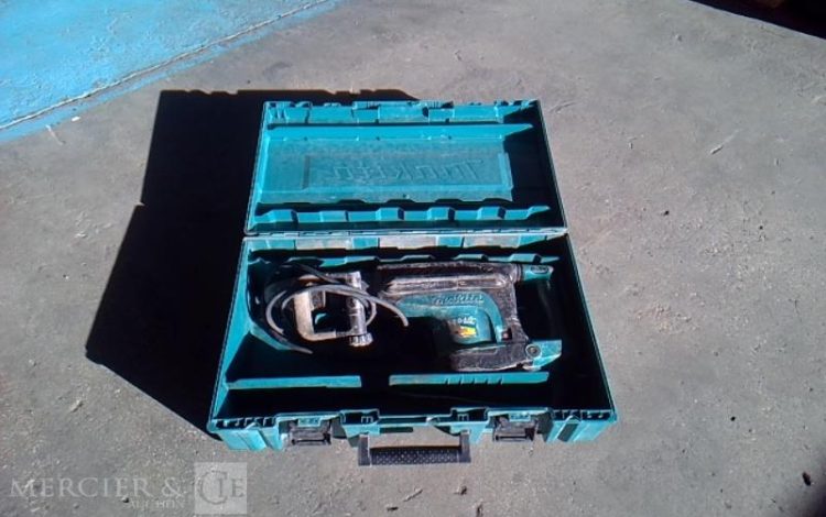 GENERIQUE PIQUEUR ELECTRIQUE 230V 19J VERT PIQ750011