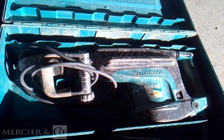 GENERIQUE PIQUEUR ELECTRIQUE 230V 19J VERT PIQ750011