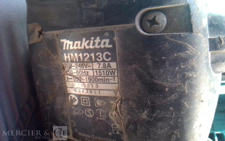 GENERIQUE PIQUEUR ELECTRIQUE 230V 19J VERT PIQ750011