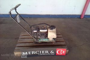 GENERIQUE PLAQUE VIBRANTE 70KG PQ1 ESS. VERT PLA750938