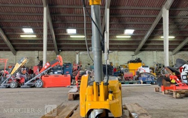 KUNZLE & TASIN SCORPION  PON010056