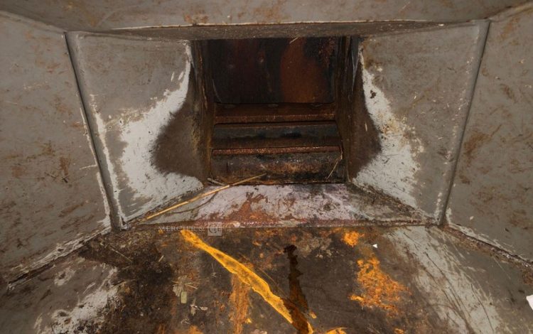 TIMBERWOLF TW230DHB  305098