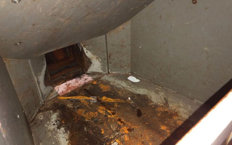 TIMBERWOLF TW230DHB  305098