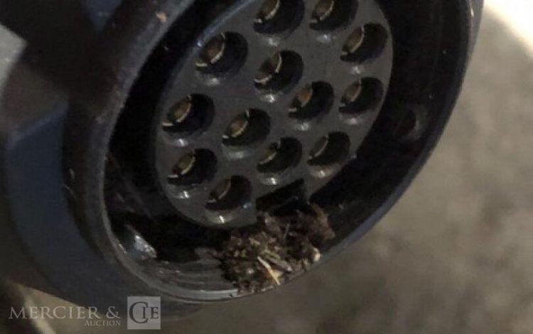 TIMBERWOLF TW230DHB  305098