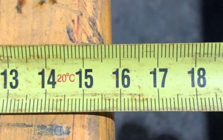 FALCONLIFT FLP20S41800  446MAM10