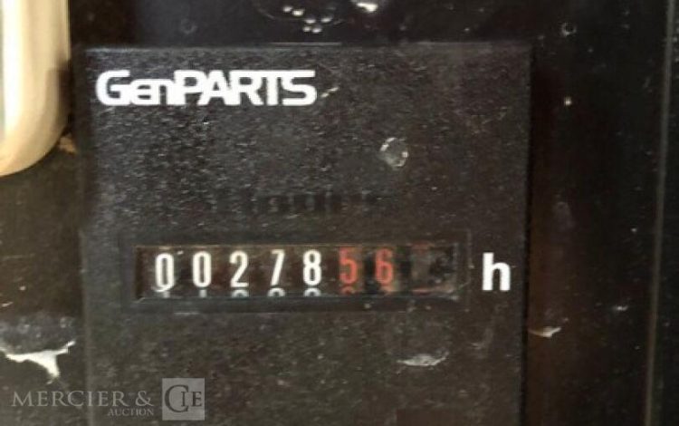 SDMO PERFORM 4500 XL  471MAM10