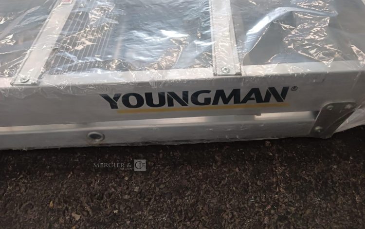 Autre Lot de 2 rampes daccès aluminium  6 marches, marque YOUNGMAN  200