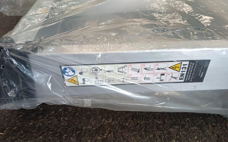 Autre Lot de 2 rampes daccès aluminium  3 marches, marque YOUNGMAN  203