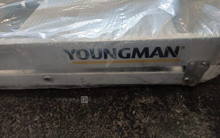 Autre Lot de 2 rampes daccès aluminium  3 marches, marque YOUNGMAN  203