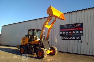 GENERIQUE CHARGEUSE ARTICULLE TW36 1.6T 1H AN2025 JAUNE 25D073