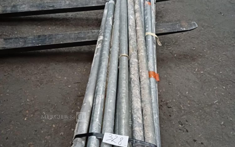 Autre Lot de 30 pièces  Montants 300 cm Scafon  329