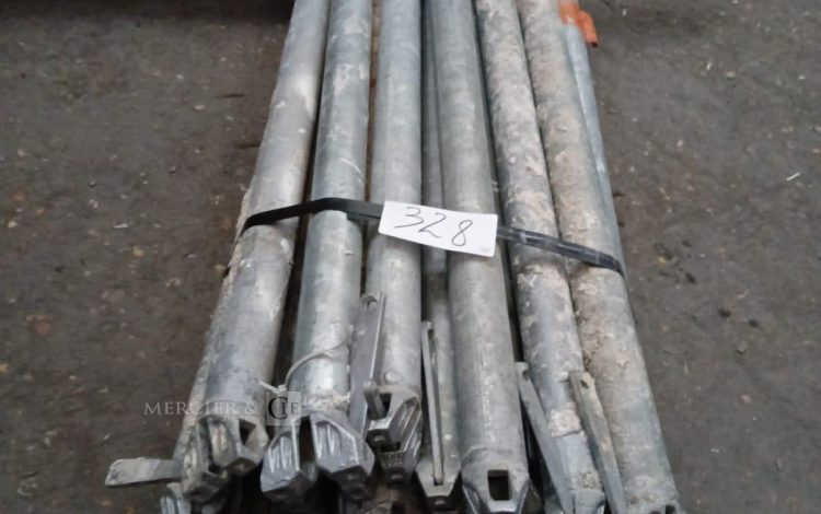Autre Lot de 30 pièces  Montants 300 cm Scafon  329