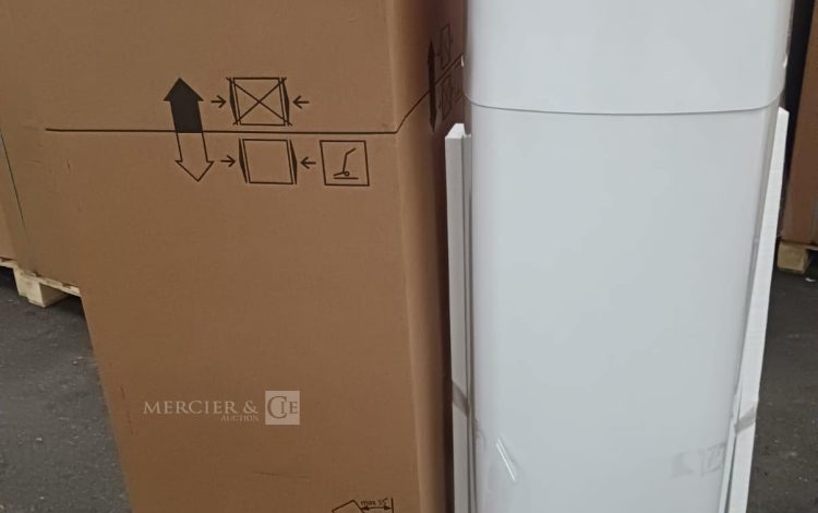 Autre Lot de 2 chauffe-eau électriques verticaux Tiki modèle DHW (LT) 80120, neufs da  363