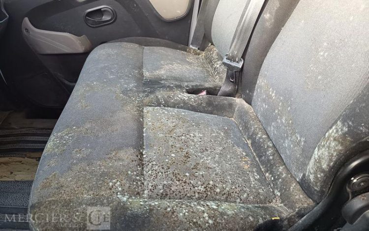 RENAULT MASTER FOURGON  DX-677-SH