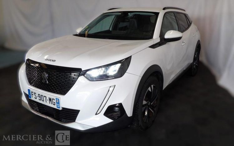 PEUGEOT 2008 ALLURE BUSINESS 100CH BLANC FS-907-MG