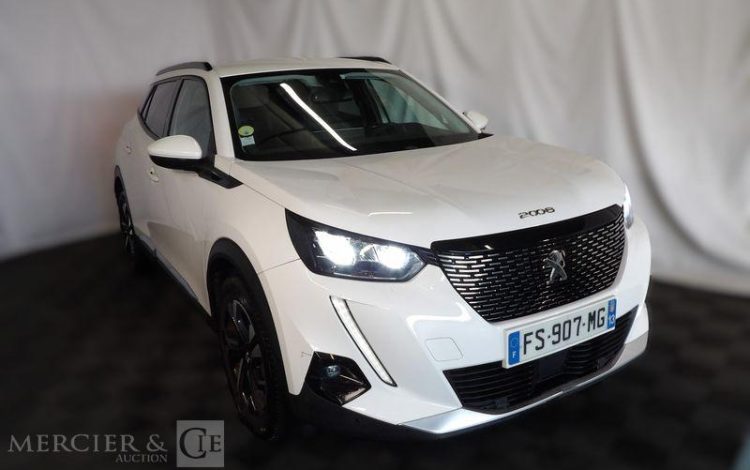 PEUGEOT 2008 ALLURE BUSINESS 100CH BLANC FS-907-MG