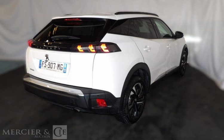 PEUGEOT 2008 ALLURE BUSINESS 100CH BLANC FS-907-MG