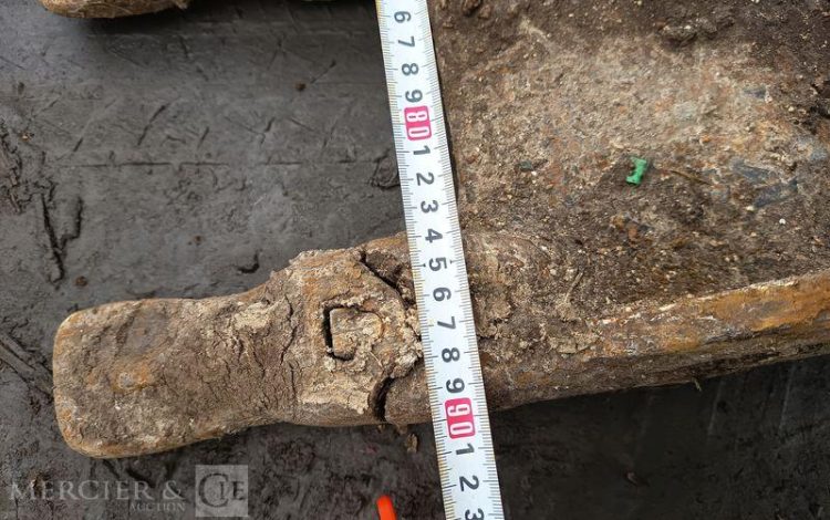 SUNWARD PELLE SWE90UF  630