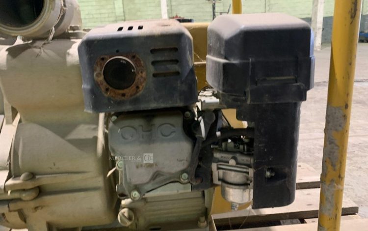 ROBIN PUMP PTX301T  POM010059