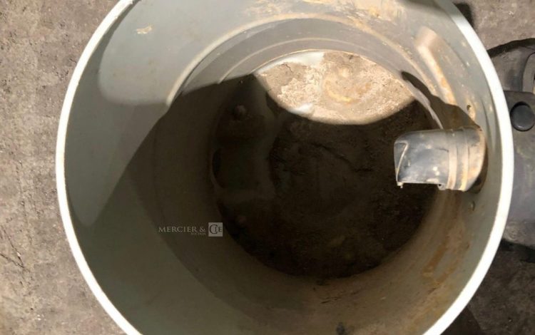 FIORENTINI C29/11225  ASP011186