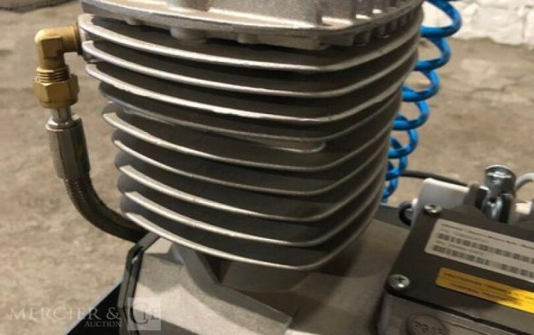 MAUGUIERE MXF19  COM010035