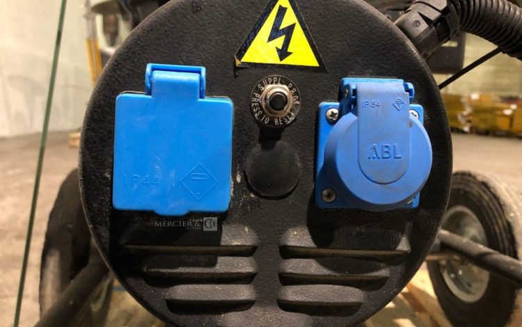 SDMO PERFORM 4500  GRO010898