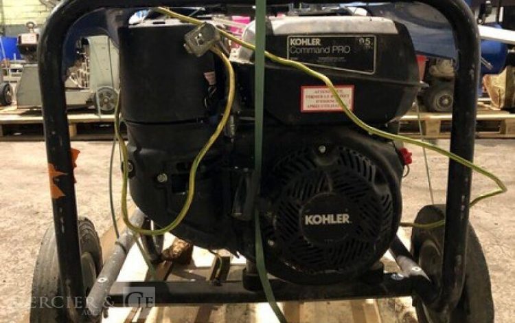 SDMO PERFORM 4500  GRO010898