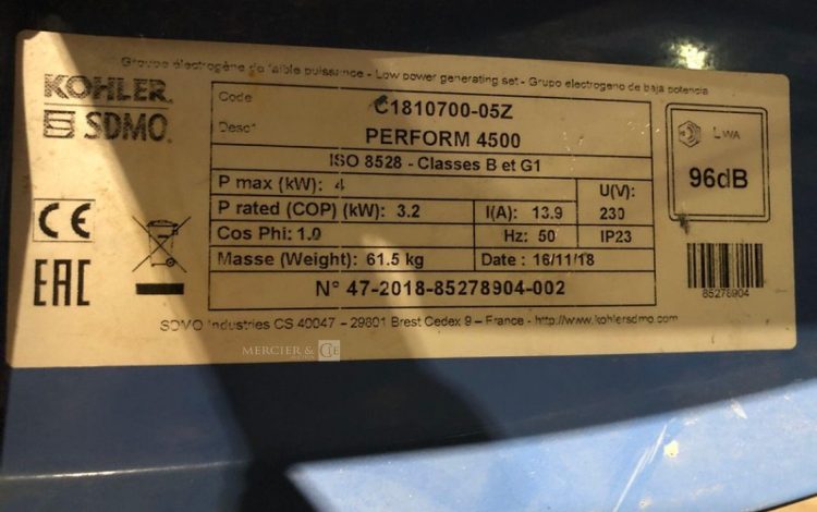 SDMO PERFORM 4500  GRO010898