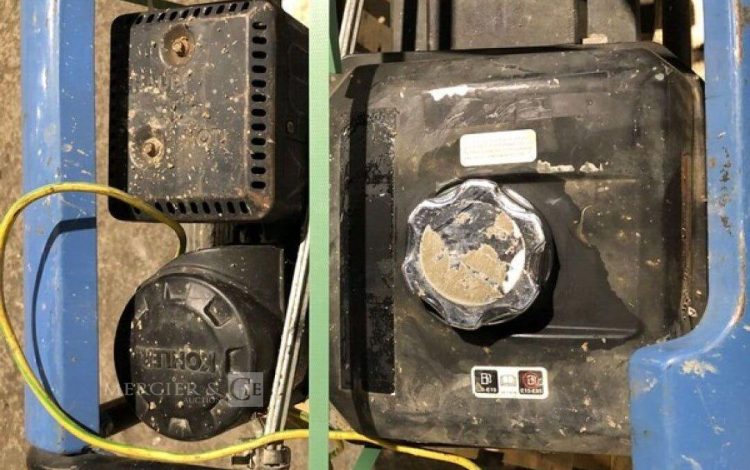 SDMO PERFORM 4500  GRO010898