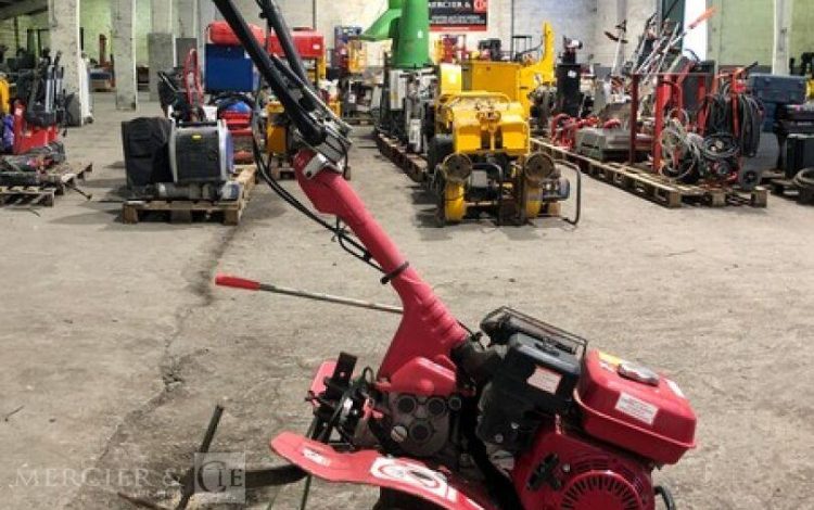 HONDA FL DLX 500  MOT010716