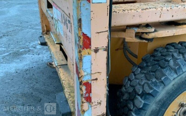 LIFTLUX SL205 25 04WDS/P  CD22B1967