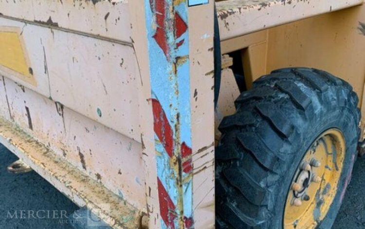 LIFTLUX SL205 25 04WDS/P  CD22B1967