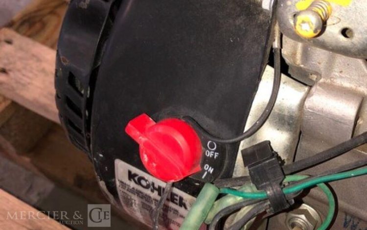 SDMO PERFORM 3000  66MAM12026