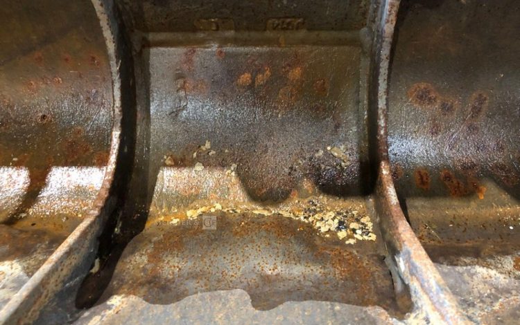 ACB MORIN   48MAM12026