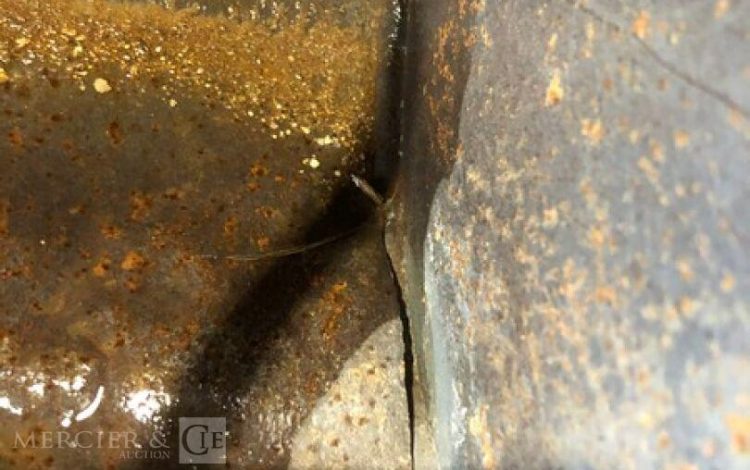 ACB MORIN   48MAM12026