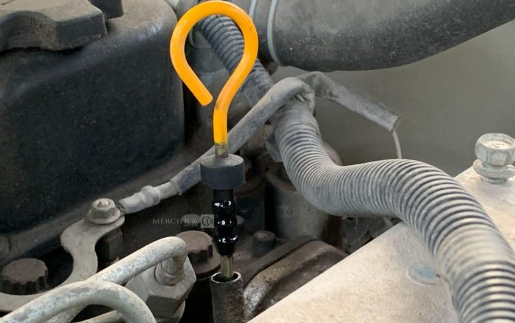 NISSAN Y1D2A25Q  50250387