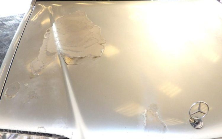 MERCEDES CLASSE S 300 TD 3.0 TD 24V 177CV BA GRIS 8609KC82