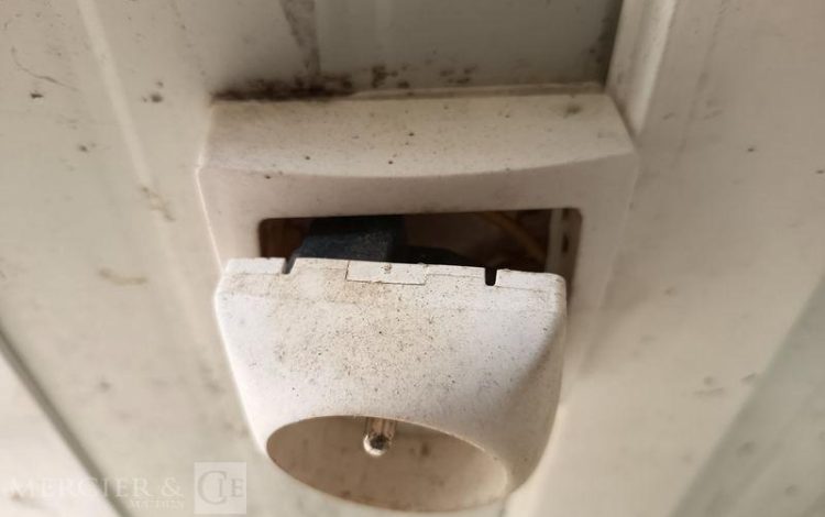 DECORTES BUNGALOW PORTE ET FENETRE LONG PAN AVEC PASSAGE DE FOURCHES  BUC750533