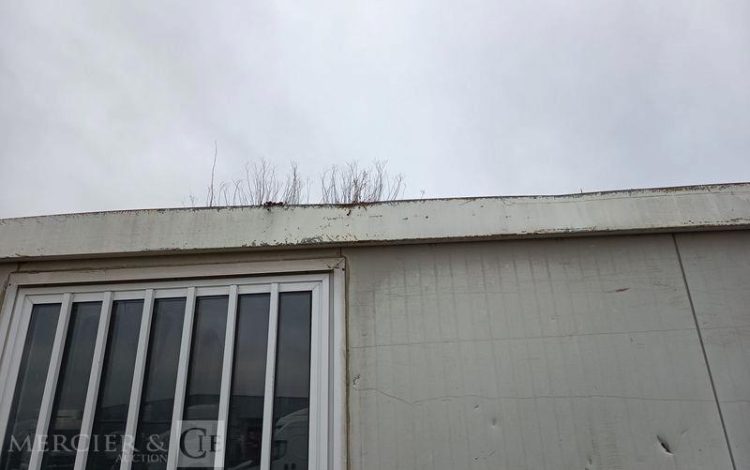 DECORTES BUNGALOW PORTE ET FENETRE LONG PAN AVEC PASSAGE DE FOURCHES  BUC750533