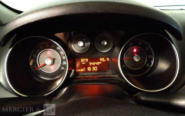 FIAT PUNTO GNV  DM-805-DN