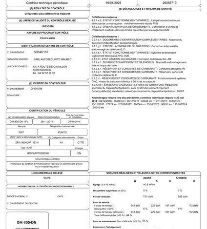 FIAT PUNTO GNV  DM-805-DN