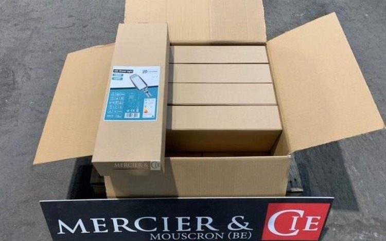 EVERSTEEL STREETLIGHT  MAR222307