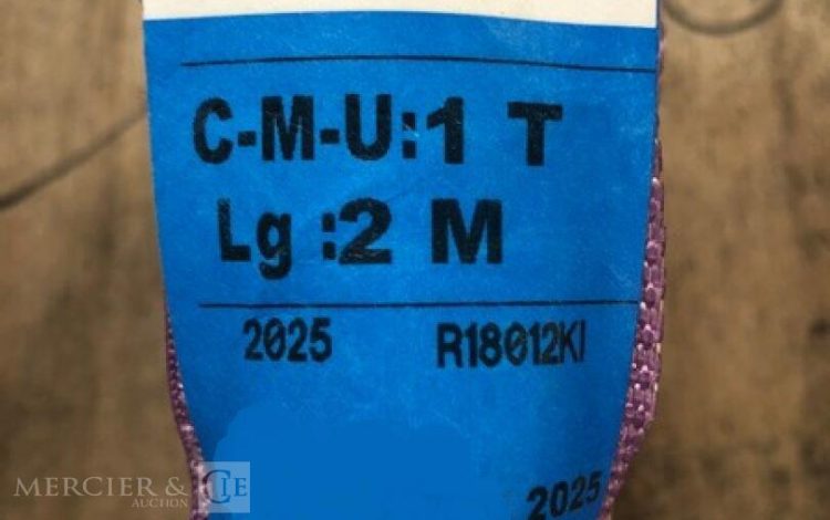 COBALTIX   DIV000325